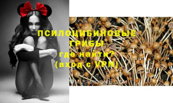 прущая мука Беломорск
